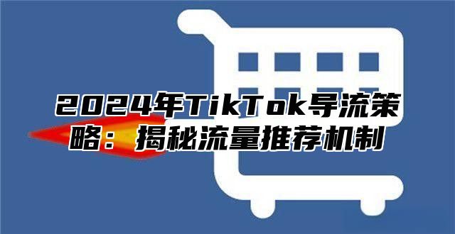 2025年TikTok导流策略：揭秘流量推荐机制