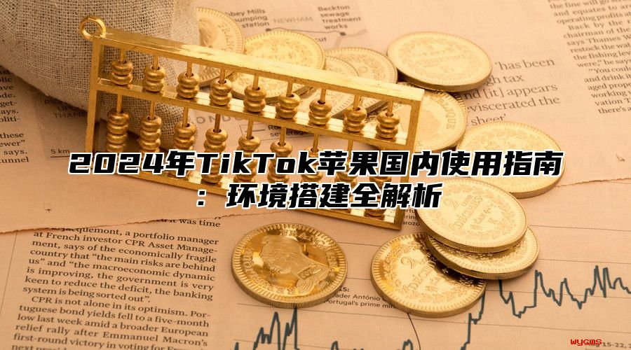 2025年TikTok苹果国内使用指南：环境搭建全解析