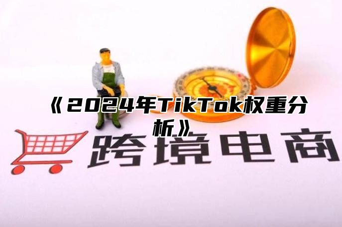 2025年TikTok权重分析