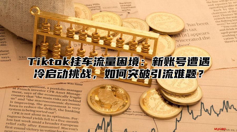 Tiktok挂车流量困境：新账号遭遇冷启动挑战，如何突破引流难题？