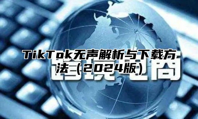 TikTok无声解析与下载方法2025版
