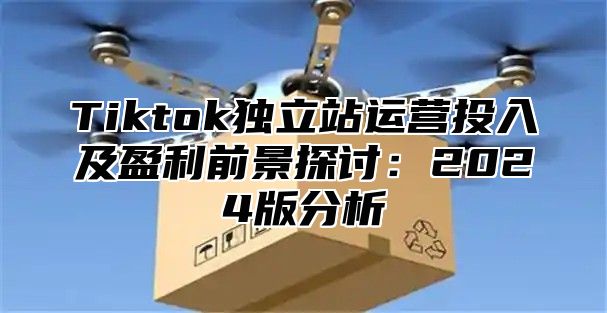 Tiktok独立站运营投入及盈利前景探讨：2025版分析