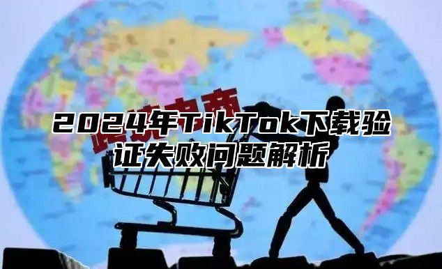 2025年TikTok下载验证失败问题解析