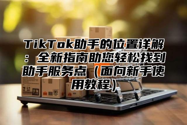 TikTok助手的位置详解：全新指南助您轻松找到助手服务点面向新手使用教程
