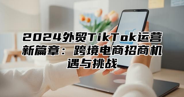 2025外贸TikTok运营新篇章：跨境电商招商机遇与挑战