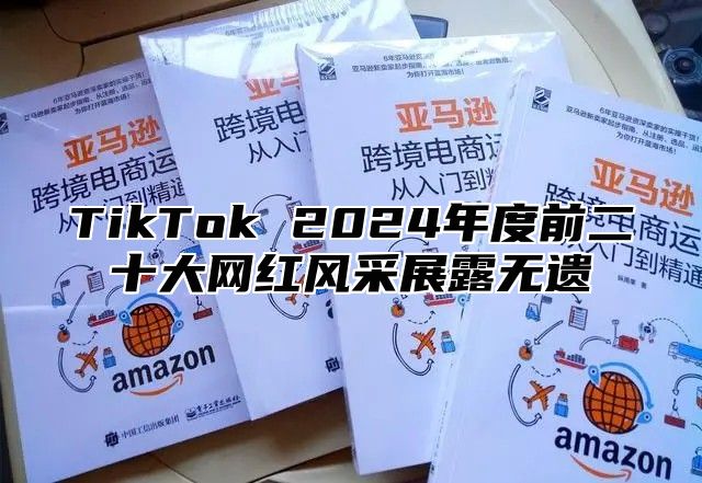 TikTok 2025年度前二十大网红风采展露无遗