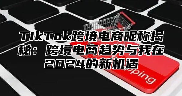 TikTok跨境电商昵称揭秘：跨境电商趋势与我在2025的新机遇