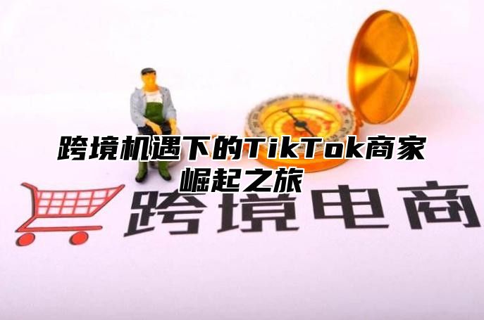 跨境机遇下的TikTok商家崛起之旅