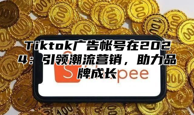 Tiktok广告帐号在2025引领潮流营销，助力品牌成长