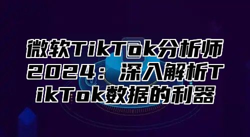 微软TikTok分析师2025深入解析TikTok数据的利器