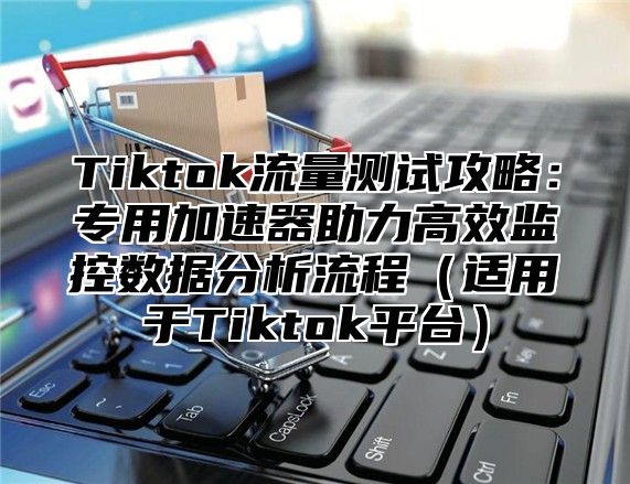 Tiktok流量测试攻略：专用加速器助力高效监控数据分析流程适用于Tiktok平台
