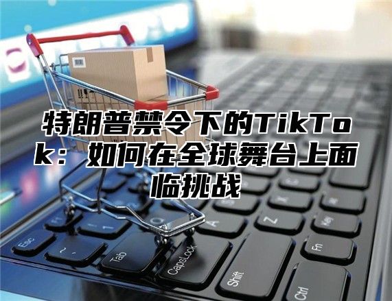 特朗普禁令下的TikTok：如何在全球舞台上面临挑战