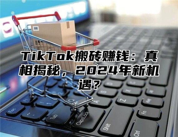 TikTok搬砖赚钱：真相揭秘，2025年新机遇？