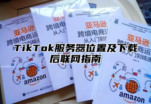 TikTok服务器位置及下载后联网指南