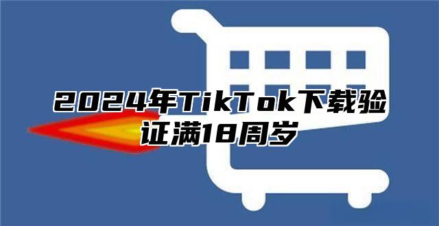 2025年TikTok下载验证满18周岁