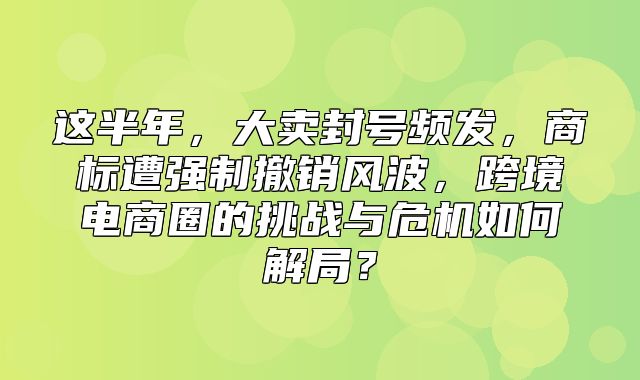 这半年，大卖封号频发，商标遭强制撤销风波，跨境电商圈的挑战与危机如何解局？