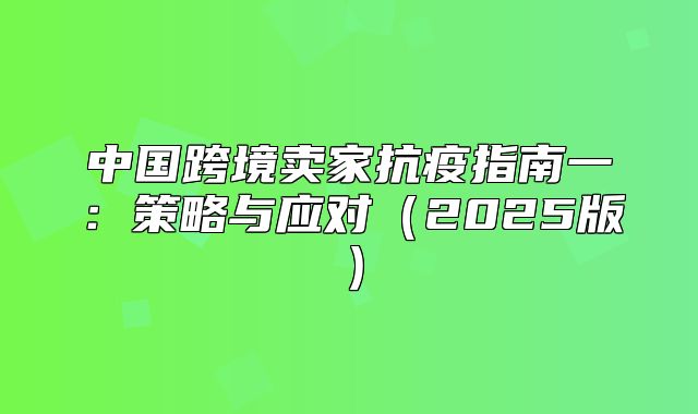 中国跨境卖家抗疫指南一：策略与应对2025版