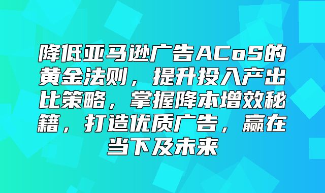 降低亚马逊广告ACoS的黄金法则，提升投入产出比策略，掌握降本增效秘籍，打造优质广告，赢在当下及未来