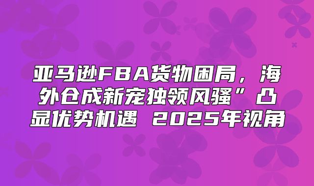 亚马逊FBA货物困局，海外仓成新宠独领风骚”凸显优势机遇 2025年视角