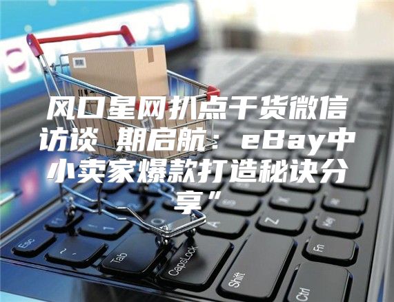 风口星网扒点干货微信访谈④期启航：eBay中小卖家爆款打造秘诀分享”