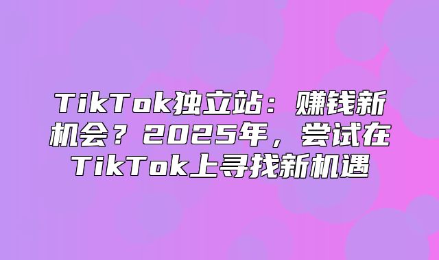 TikTok独立站：赚钱新机会？2025年，尝试在TikTok上寻找新机遇
