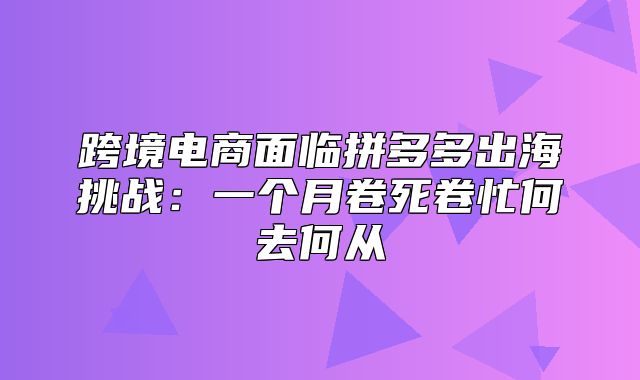 跨境电商面临拼多多出海挑战：一个月卷死卷忙何去何从