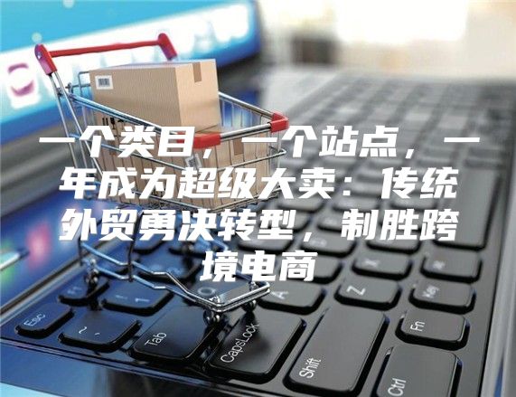 一个类目，一个站点，一年成为超级大卖：传统外贸勇决转型，制胜跨境电商