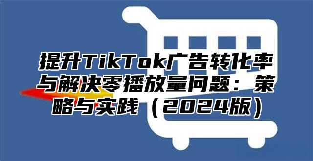 提升TikTok广告转化率与解决零播放量问题：策略与实践2025版