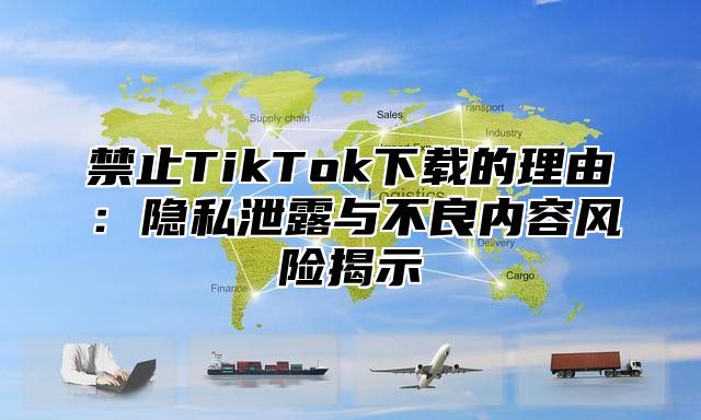 禁止TikTok下载的理由：隐私泄露与不良内容风险揭示