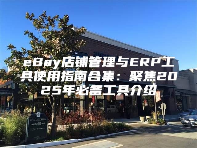 eBay店铺管理与ERP工具使用指南合集：聚焦2025年必备工具介绍