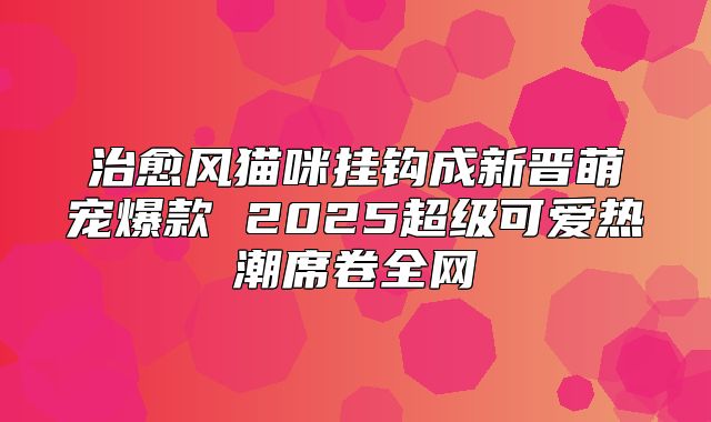 治愈风猫咪挂钩成新晋萌宠爆款 2025超级可爱热潮席卷全网