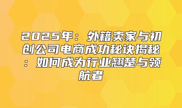 2025年：外籍卖家与初创公司电商成功秘诀揭秘：如何成为行业翘楚与领航者