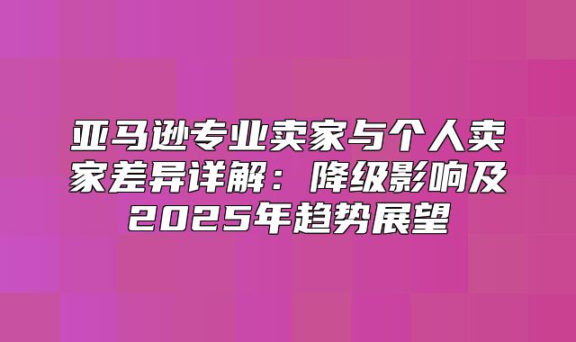 亚马逊专业卖家与个人卖家差异详解：降级影响及2025年趋势展望