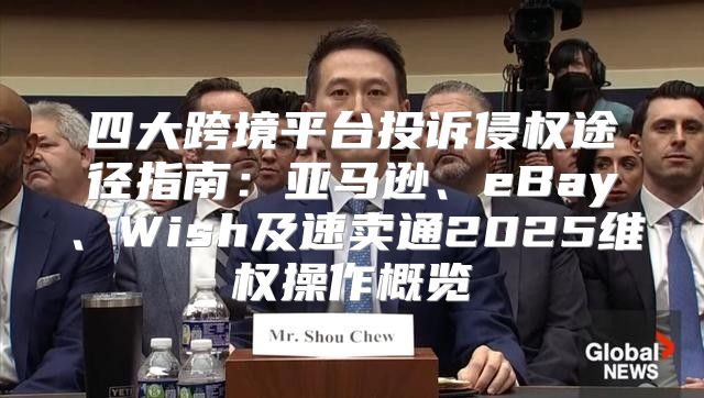 四大跨境平台投诉侵权途径指南：亚马逊、eBay、Wish及速卖通2025维权操作概览