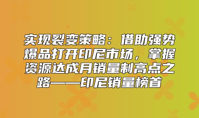 实现裂变策略：借助强势爆品打开印尼市场，掌握资源达成月销量制高点之路——印尼销量榜首