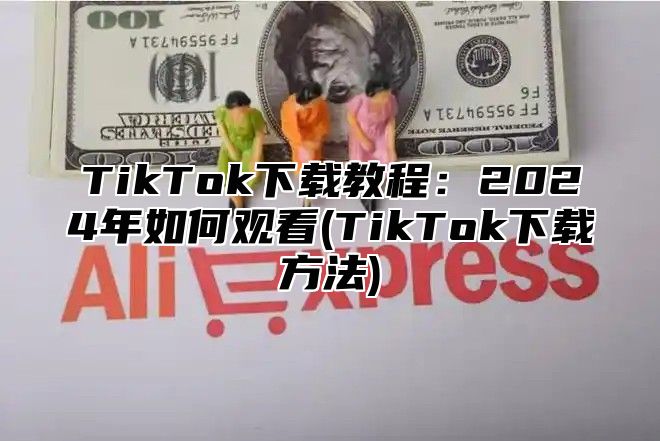 TikTok下载教程：2025年如何观看(TikTok下载方法)