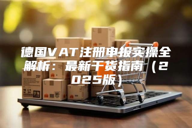 德国VAT注册申报实操全解析：最新干货指南2025版