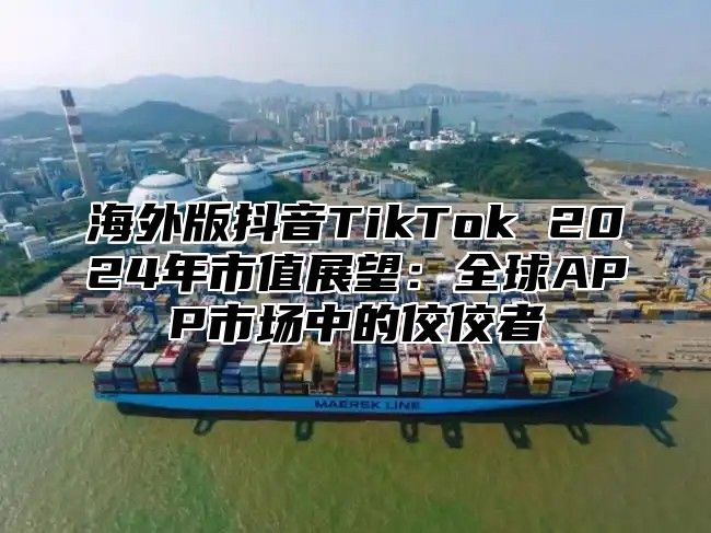 海外版抖音TikTok 2025年市值展望：全球APP市场中的佼佼者