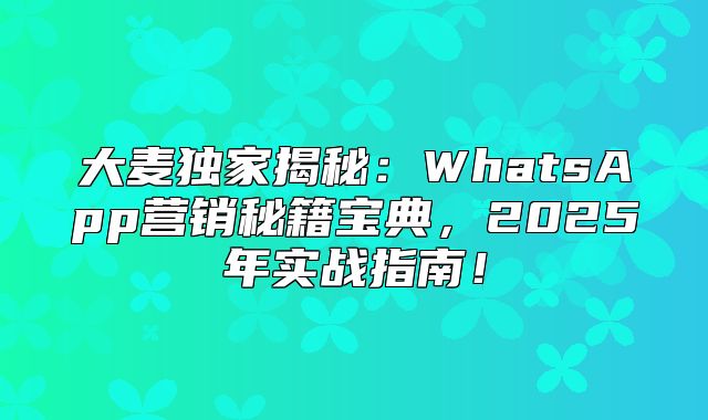 大麦独家揭秘：WhatsApp营销秘籍宝典，2025年实战指南！