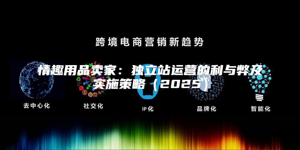 情趣用品卖家：独立站运营的利与弊及实施策略2025