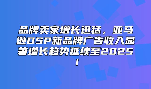 品牌卖家增长迅猛，亚马逊DSP新品牌广告收入显著增长趋势延续至2025！