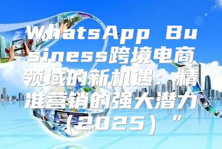 WhatsApp Business跨境电商领域的新机遇：精准营销的强大潜力2025”