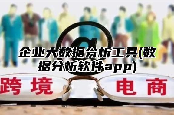 企业大数据分析工具(数据分析软件app)