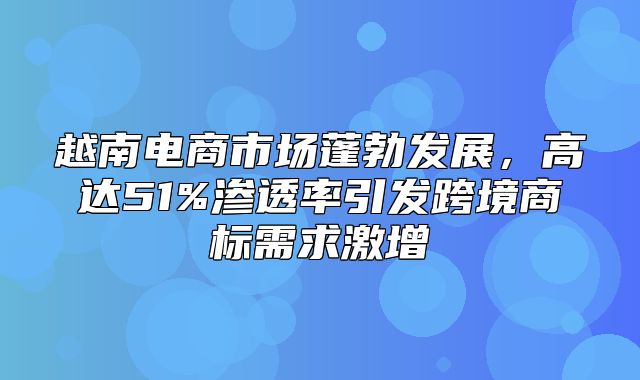 越南电商市场蓬勃发展，高达51%渗透率引发跨境商标需求激增