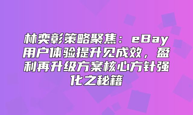 林奕彰策略聚焦：eBay用户体验提升见成效，盈利再升级方案核心方针强化之秘籍