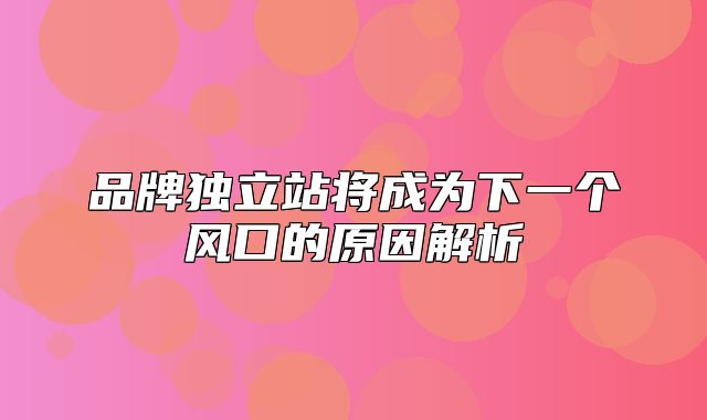 品牌独立站将成为下一个风口的原因解析