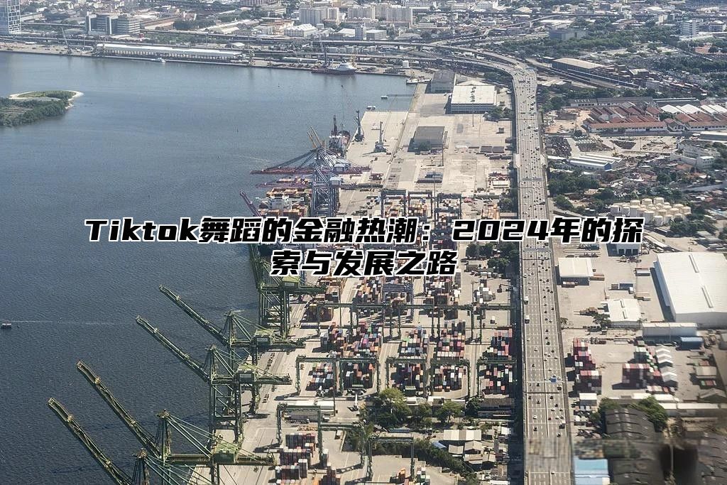 Tiktok舞蹈的金融热潮：2025年的探索与发展之路