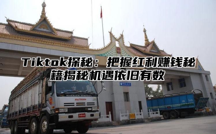Tiktok探秘：把握红利赚钱秘籍揭秘机遇依旧有数