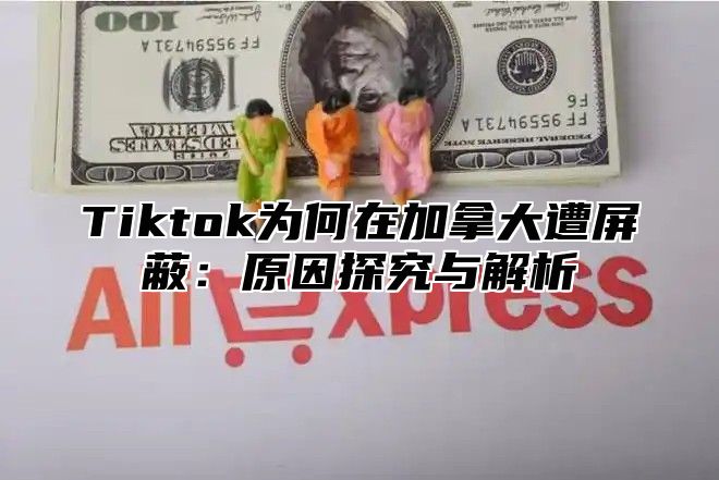 Tiktok为何在加拿大遭屏蔽：原因探究与解析