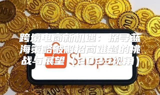 跨境电商新机遇：探寻蓝海策略破解招商难题的挑战与展望2025视角